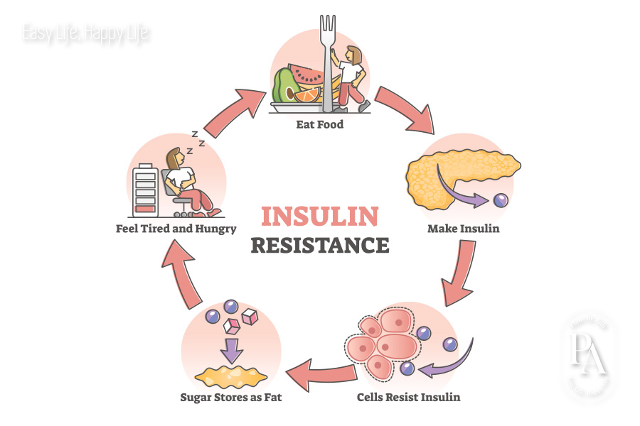 Tìm hiểu kháng Insulin là gì và tác hại đối với sức khỏe?
