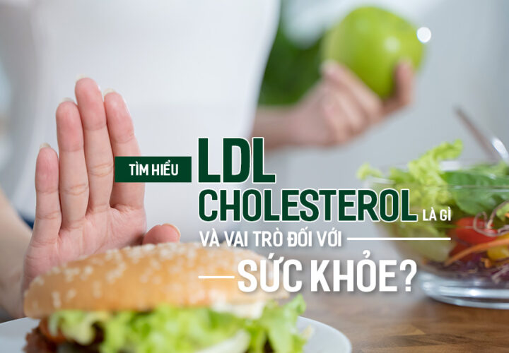 Tìm hiểu LDL-Cholesterol là gì và vai trò đối với sức khỏe?