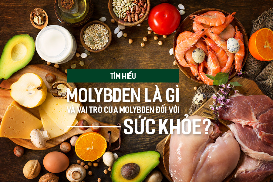 Tìm hiểu Molybden là gì và vai trò của Molybden đối với sức khỏe?, PlansbyAnh