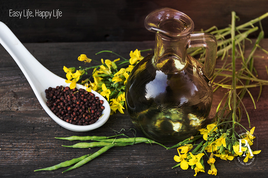 Tìm hiểu Omega-9 là gì và vai trò của Omega-9 đối với sức khỏe?, PlansbyAnh