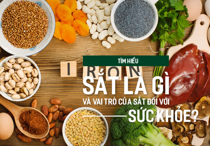 Tìm hiểu Sắt là gì và vai trò của Sắt đối với sức khỏe?