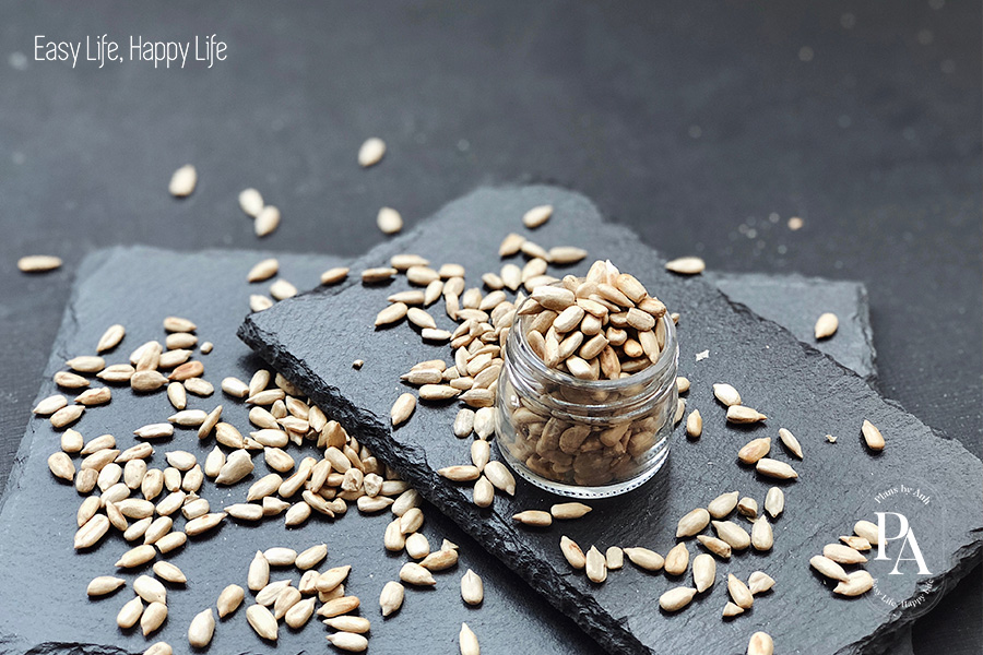 T&igrave;m hiểu Selen l&agrave; g&igrave; v&agrave; vai tr&ograve; của Selen đối với sức khỏe?, PlansbyAnh