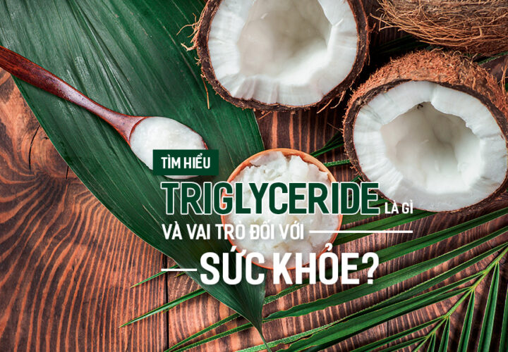 Tìm hiểu Triglyceride là gì và vai trò đối với sức khỏe?