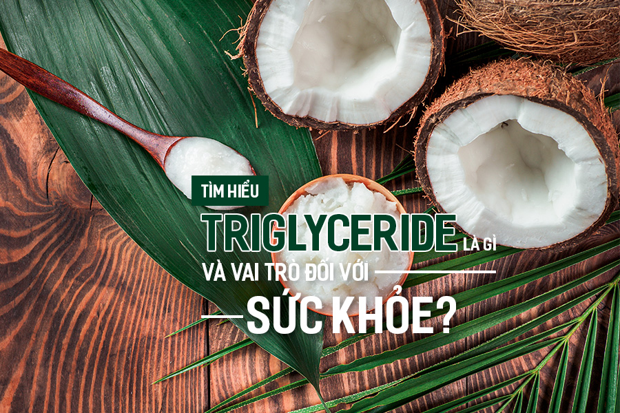Tìm hiểu Triglyceride là gì và vai trò đối với sức khỏe?, PlansbyAnh