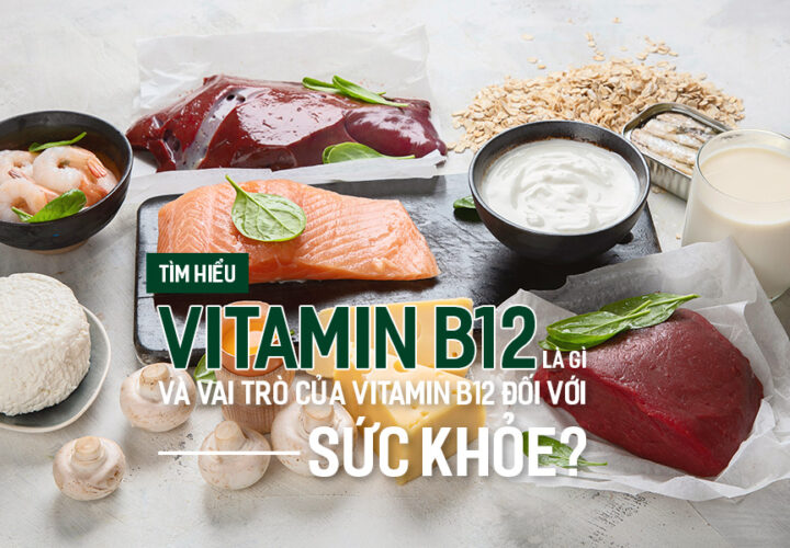 Tìm hiểu Vitamin B12 là gì và vai trò của Vitamin B12 đối với sức khỏe?