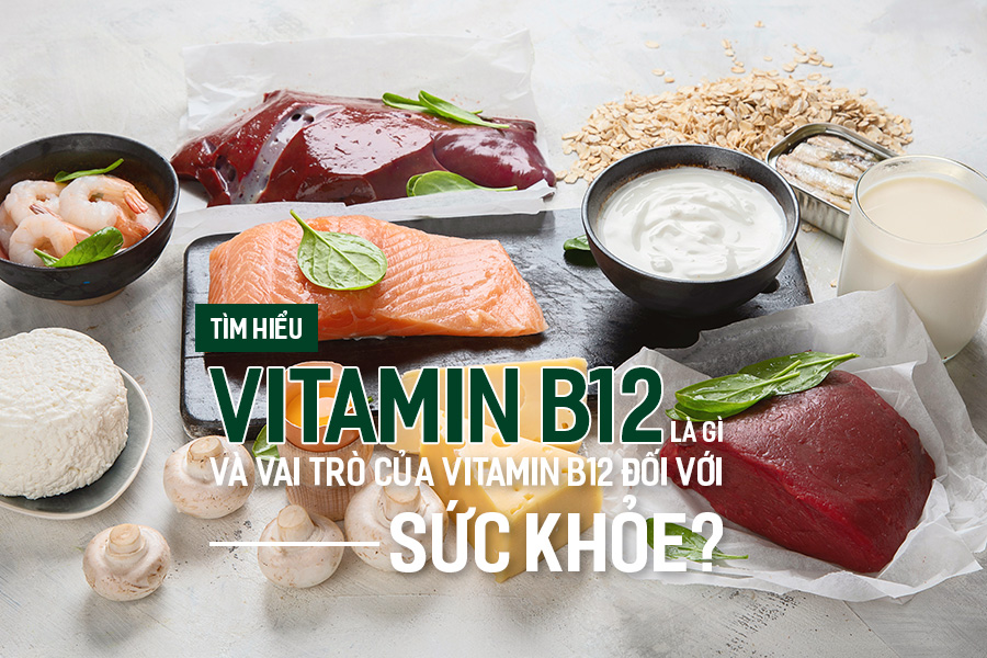 Tìm hiểu Vitamin B12 là gì và vai trò của Vitamin B12 đối với sức khỏe?, PlansbyAnh