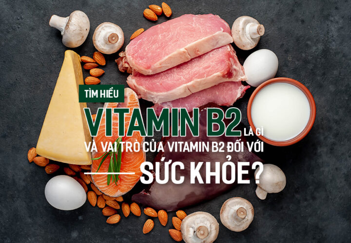 Tìm hiểu Vitamin B2 là gì và vai trò của Vitamin B2 đối với sức khỏe?