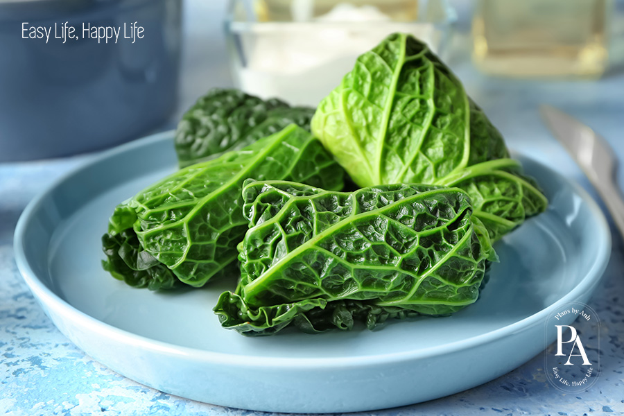 Tìm hiểu Vitamin B2 là gì và vai trò của Vitamin B2 đối với sức khỏe?, PlansbyAnh