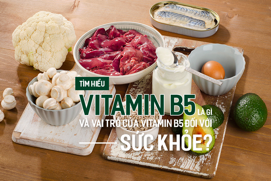 Tìm hiểu Vitamin B5 là gì và vai trò của Vitamin B5 đối với sức khỏe?, PlansbyAnh