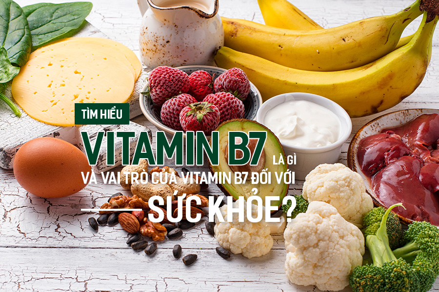 Tìm hiểu Vitamin B7 là gì và vai trò của Vitamin B7 đối với sức khỏe?