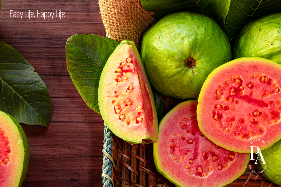 Tìm hiểu Vitamin C là gì và vai trò của Vitamin C đối với sức khỏe?, PlansbyAnh