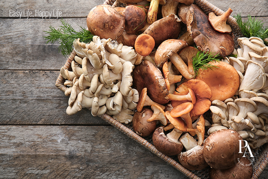 Tìm hiểu Vitamin D là gì và vai trò của Vitamin D đối với sức khỏe?, PlansbyAnh