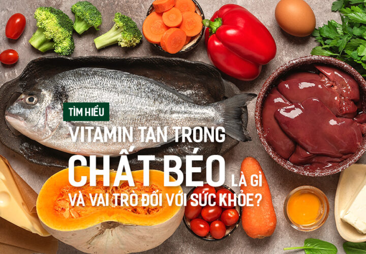 Tìm hiểu Vitamin tan trong chất béo là gì và vai trò đối với sức khỏe?