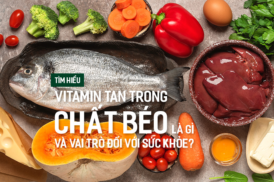 Tìm hiểu Vitamin tan trong chất béo là gì và vai trò đối với sức khỏe?, PlansbyAnh