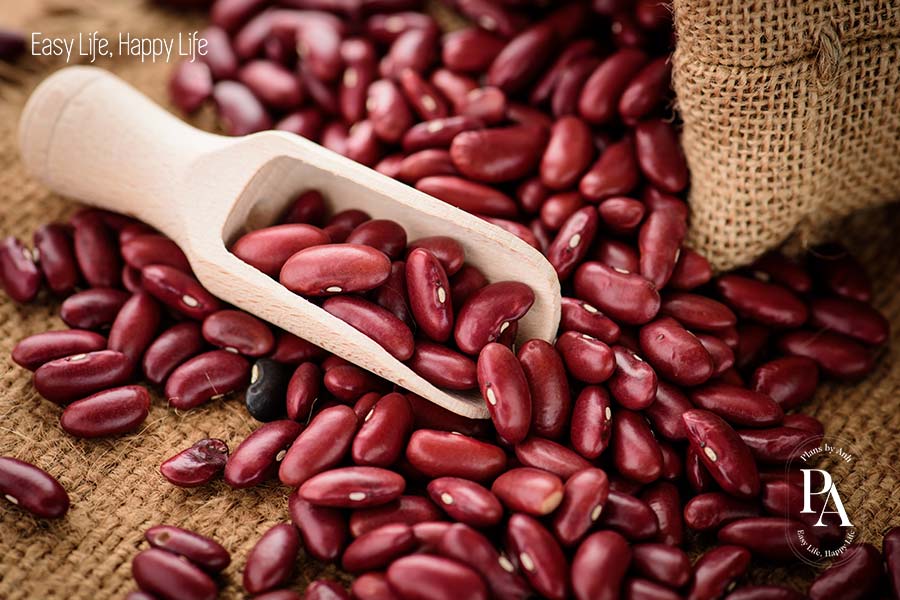 Đậu thận (Kidney Bean) nằm trong danh sách tổng hợp các cây họ đậu cực tốt cho sức khỏe nên bổ sung hàng ngày.