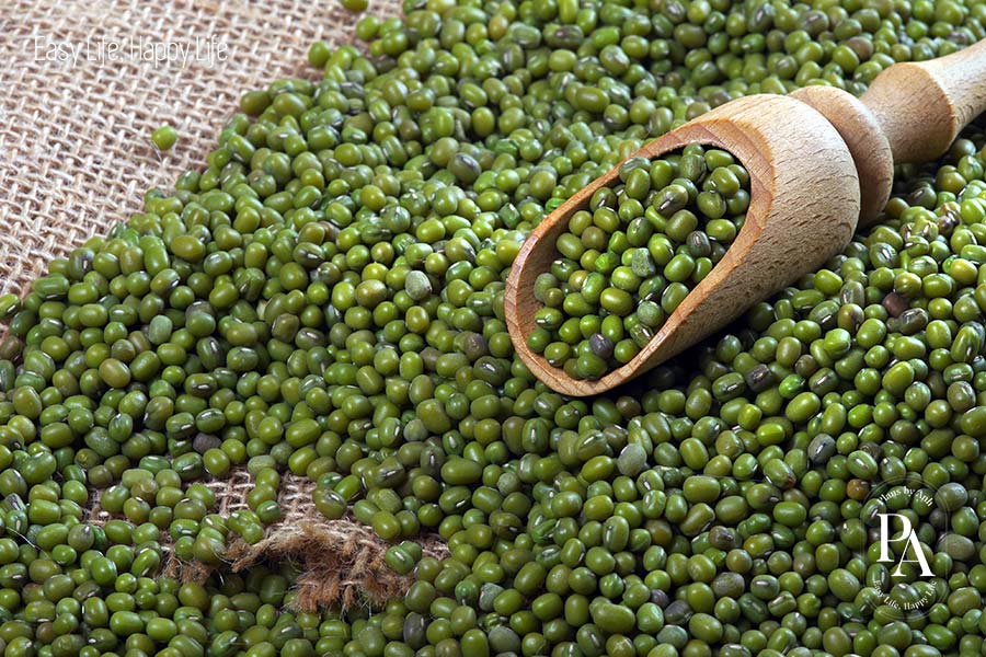 Đậu xanh (Mung Bean) nằm trong danh sách tổng hợp các cây họ đậu cực tốt cho sức khỏe nên bổ sung hàng ngày.