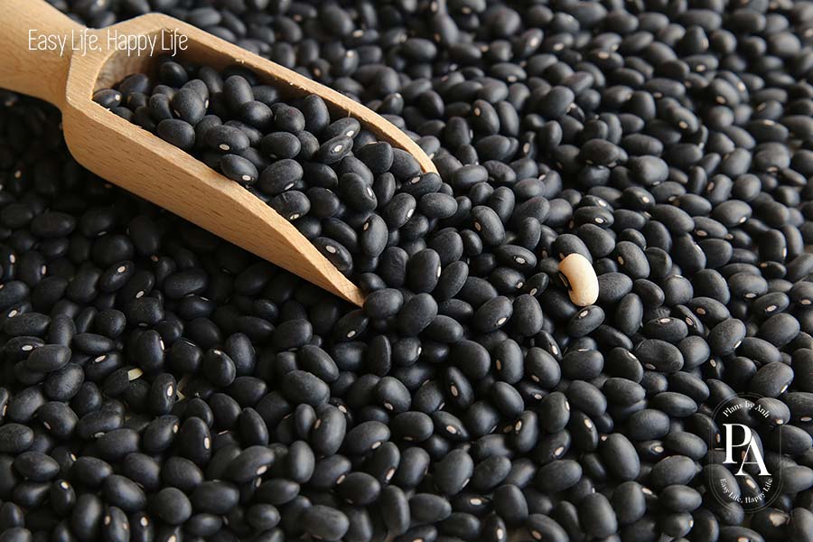 Đậu đen (Black Bean) nằm trong danh sách tổng hợp các cây họ đậu cực tốt cho sức khỏe nên bổ sung hàng ngày.