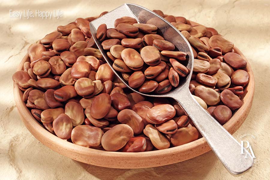 Đậu tằm (Broad Bean) nằm trong danh sách tổng hợp các cây họ đậu cực tốt cho sức khỏe nên bổ sung hàng ngày.