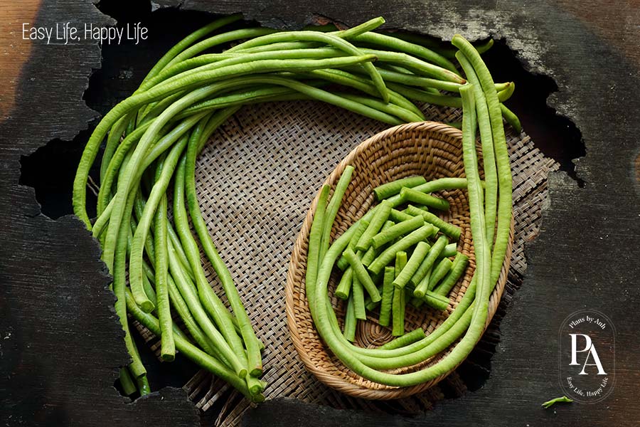 Đậu đũa (Yardlong Bean) nằm trong danh sách tổng hợp các cây họ đậu cực tốt cho sức khỏe nên bổ sung hàng ngày.