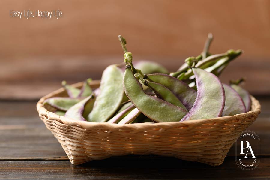 Đậu ván (Hyacinth Bean) nằm trong danh sách tổng hợp các cây họ đậu cực tốt cho sức khỏe nên bổ sung hàng ngày.