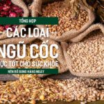 Tổng hợp các loại ngũ cốc cực tốt cho sức khỏe nên bổ sung hàng ngày, PlansbyAnh