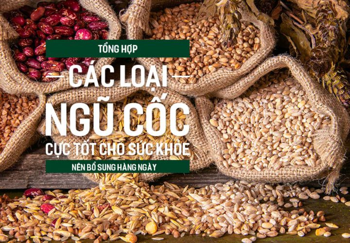 Tổng hợp các loại ngũ cốc cực tốt cho sức khỏe nên bổ sung hàng ngày.