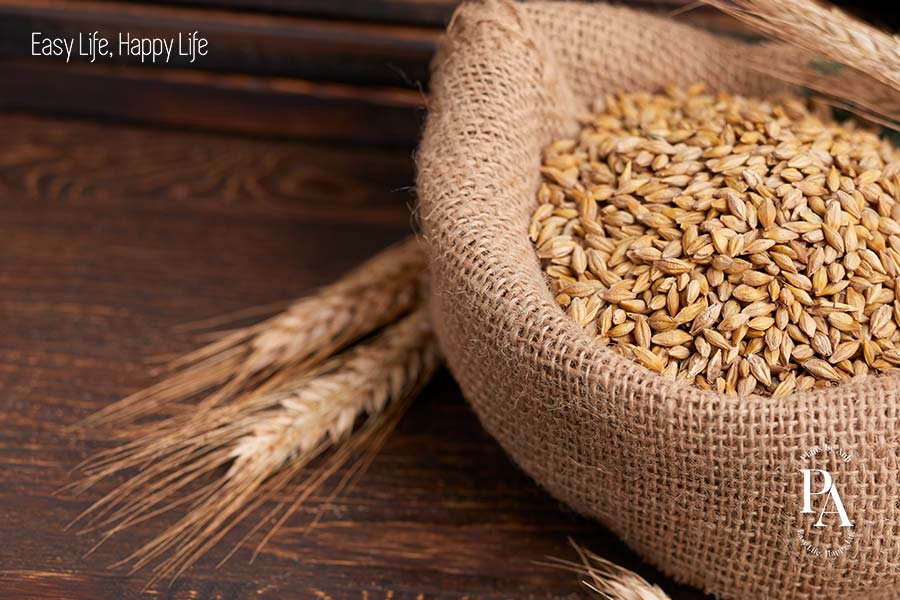Lúa mạch (Barley) nằm trong danh sách tổng hợp các loại ngũ cốc cực tốt cho sức khỏe nên bổ sung hàng ngày.