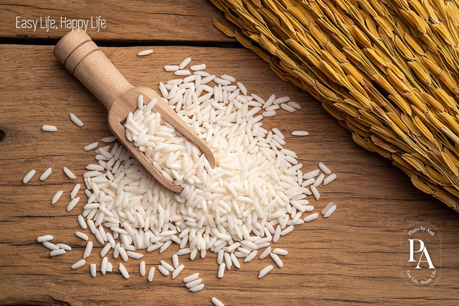 Lúa nếp (Sticky Rice/Glutinous Rice) nằm trong danh sách tổng hợp các loại ngũ cốc cực tốt cho sức khỏe nên bổ sung hàng ngày.