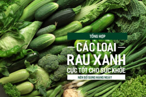 Tổng hợp các loại rau xanh cực tốt cho sức khỏe nên bổ sung hàng ngày.