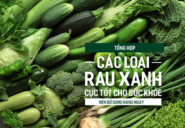Tổng hợp các loại rau xanh cực tốt cho sức khỏe nên bổ sung hàng ngày.