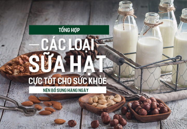 Tổng hợp các loại sữa hạt cực tốt cho sức khỏe nên bổ sung hàng ngày.