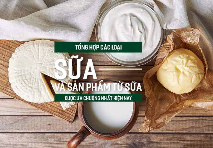 Tổng hợp các loại sữa và sản phẩm từ sữa được ưa chuộng nhất hiện nay.