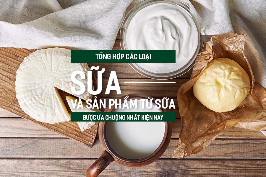 Tổng hợp các loại sữa và sản phẩm từ sữa được ưa chuộng nhất hiện nay, PlansbyAnh