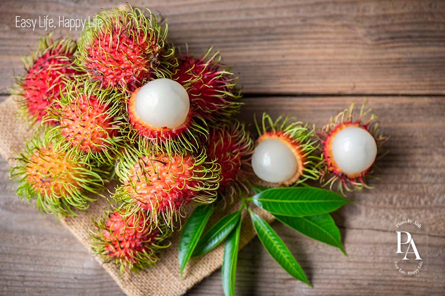 Chôm chôm (Rambutan) nằm trong danh sách tổng hợp các loại trái cây cực tốt cho sức khỏe nên bổ sung hàng ngày.