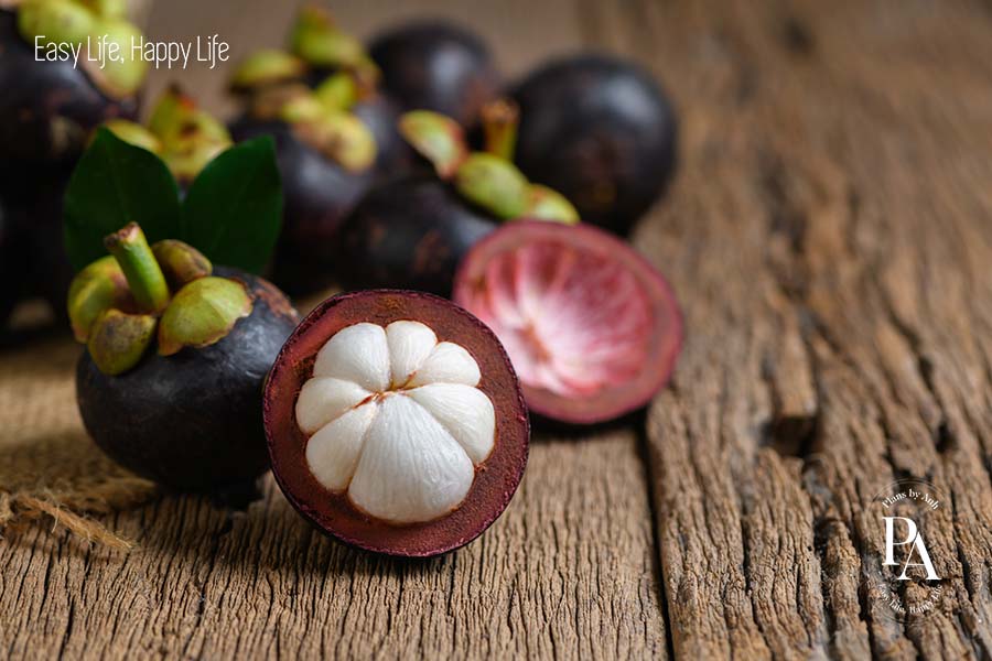 Măng cụt (Mangosteen) nằm trong danh sách tổng hợp các loại trái cây cực tốt cho sức khỏe nên bổ sung hàng ngày.