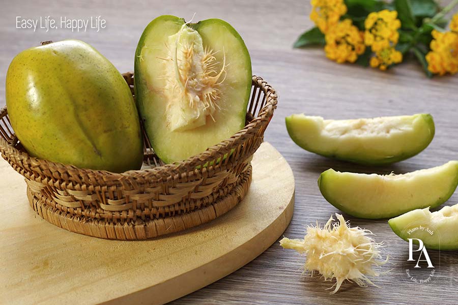 Cóc (Ambarella) nằm trong danh sách tổng hợp các loại trái cây cực tốt cho sức khỏe nên bổ sung hàng ngày.
