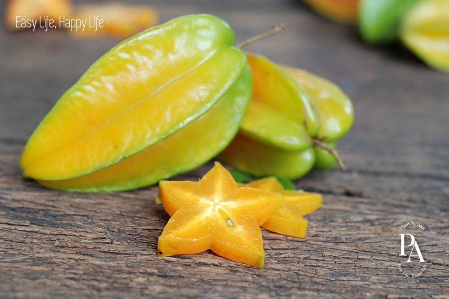 Khế (Starfruit) nằm trong danh sách tổng hợp các loại trái cây cực tốt cho sức khỏe nên bổ sung hàng ngày.
