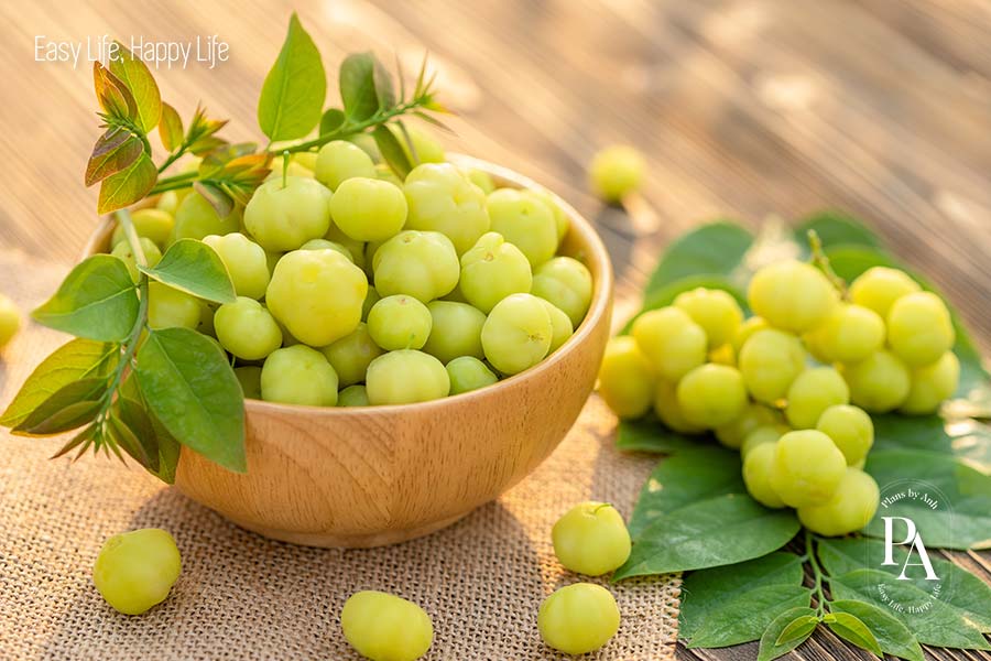 Chùm ruột (Star Gooseberry) nằm trong danh sách tổng hợp các loại trái cây cực tốt cho sức khỏe nên bổ sung hàng ngày.