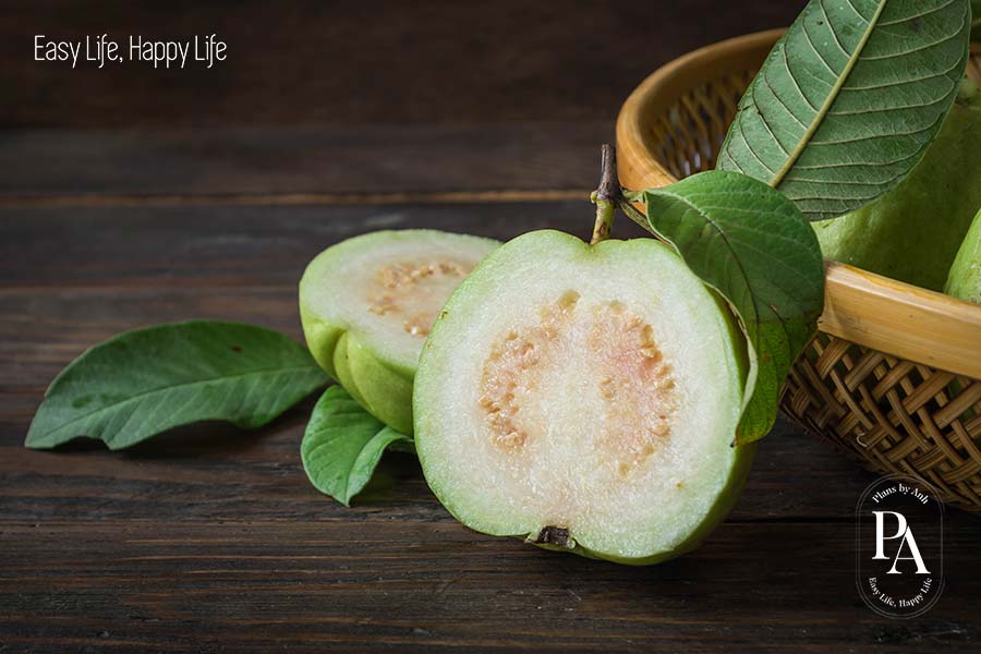 Ổi (Guava) nằm trong danh sách tổng hợp các loại trái cây cực tốt cho sức khỏe nên bổ sung hàng ngày.