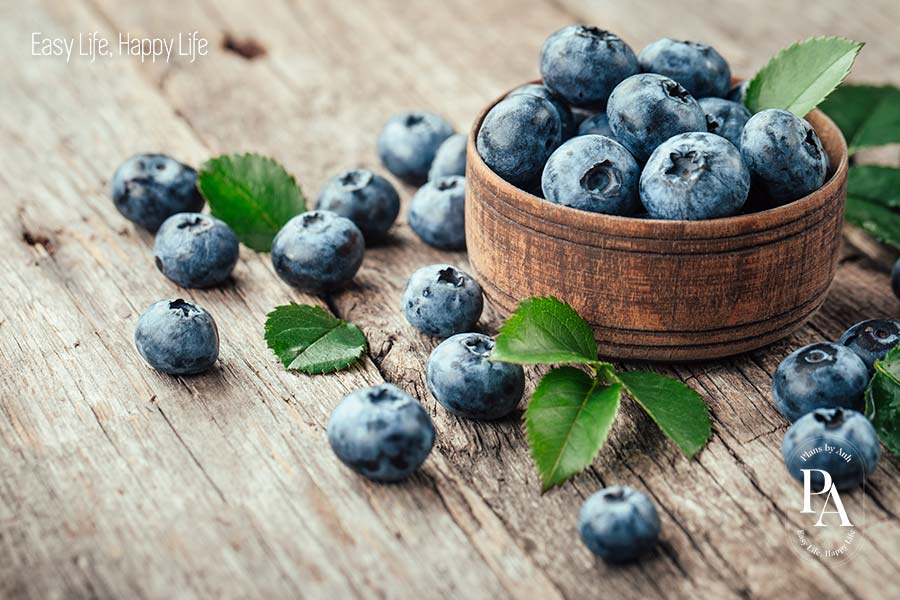 Việt quất (Blueberry) nằm trong danh sách tổng hợp các loại trái cây cực tốt cho sức khỏe nên bổ sung hàng ngày.