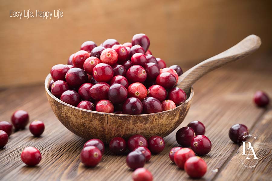 Nam việt quất (Cranberry) nằm trong danh sách tổng hợp các loại trái cây cực tốt cho sức khỏe nên bổ sung hàng ngày.