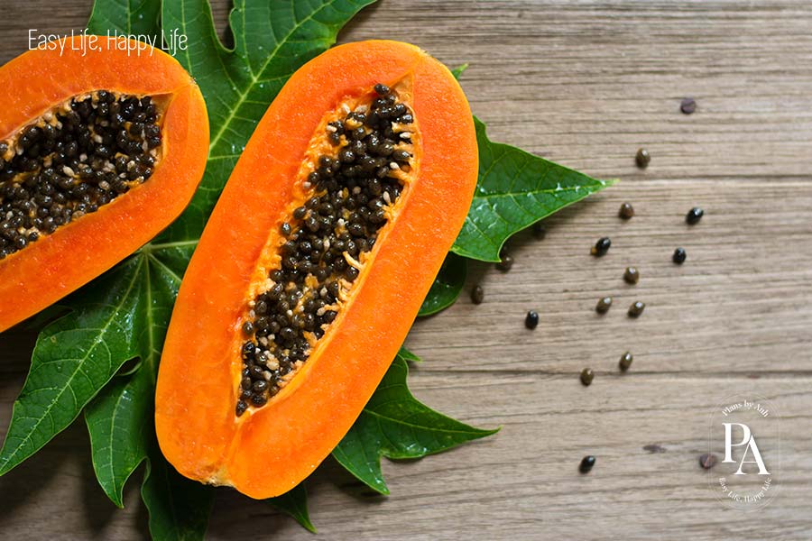 Đu đủ (Papaya) nằm trong danh sách tổng hợp các loại trái cây cực tốt cho sức khỏe nên bổ sung hàng ngày.