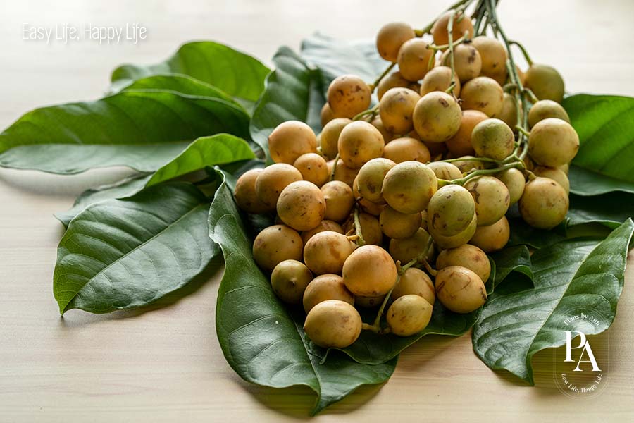 Dâu da (Burmese Grape) nằm trong danh sách tổng hợp các loại trái cây cực tốt cho sức khỏe nên bổ sung hàng ngày.