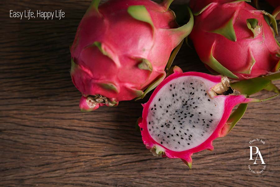 Thanh long (Dragon Fruit) nằm trong danh sách tổng hợp các loại trái cây cực tốt cho sức khỏe nên bổ sung hàng ngày.