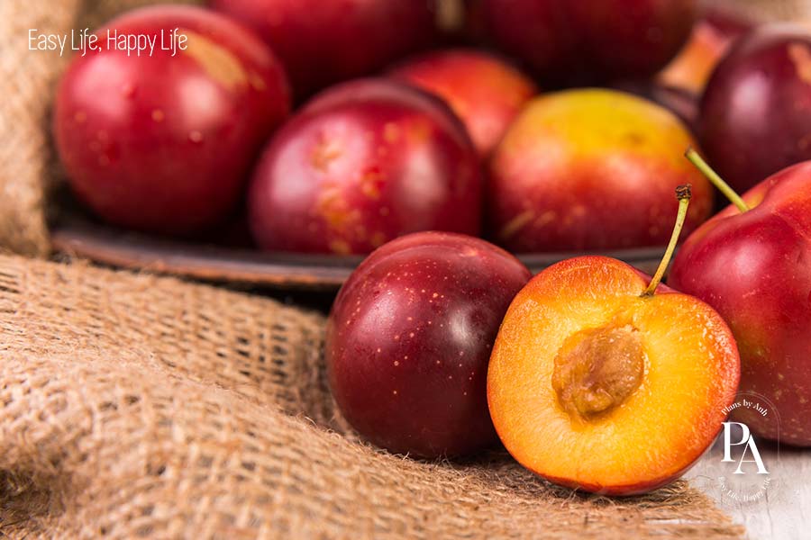 Mận (Plum) nằm trong danh sách tổng hợp các loại trái cây cực tốt cho sức khỏe nên bổ sung hàng ngày.