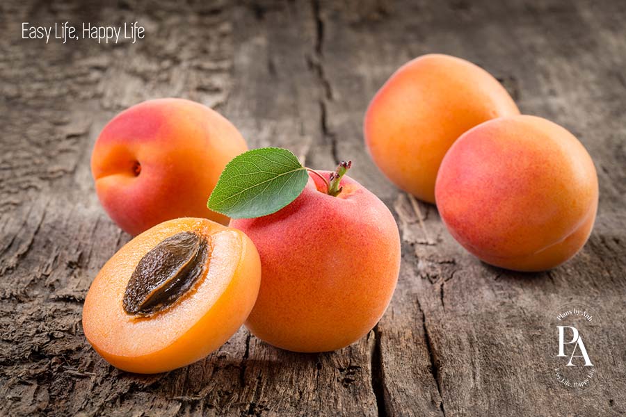 Mơ (Apricot) nằm trong danh sách tổng hợp các loại trái cây cực tốt cho sức khỏe nên bổ sung hàng ngày.