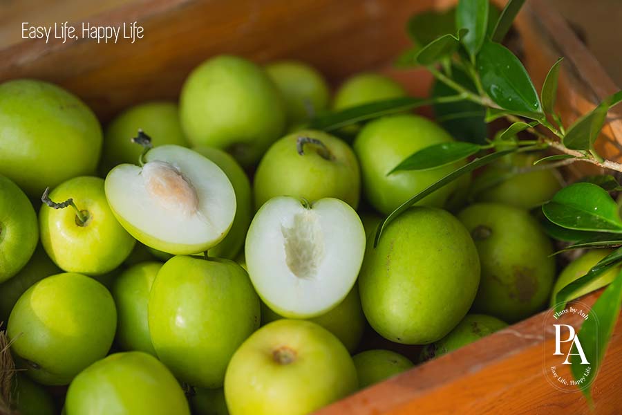 Táo Ta (Jujube) nằm trong danh sách tổng hợp các loại trái cây cực tốt cho sức khỏe nên bổ sung hàng ngày.