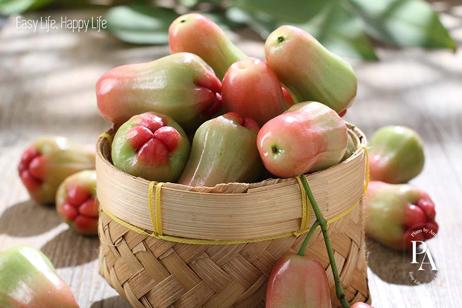 Mận/Roi (Water Apple) nằm trong danh sách tổng hợp các loại trái cây ít đường cực tốt cho sức khỏe.