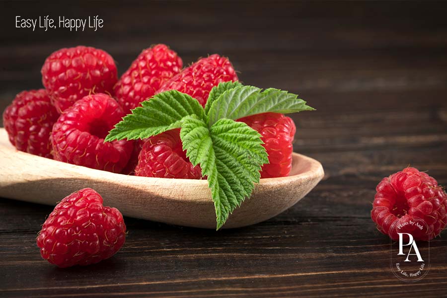 Mâm xôi (Raspberry) nằm trong danh sách tổng hợp các loại trái cây ít đường cực tốt cho sức khỏe.