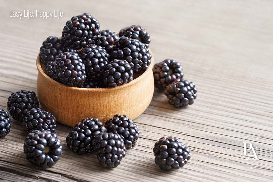 Mâm xôi đen (Blackberry) nằm trong danh sách tổng hợp các loại trái cây ít đường cực tốt cho sức khỏe.
